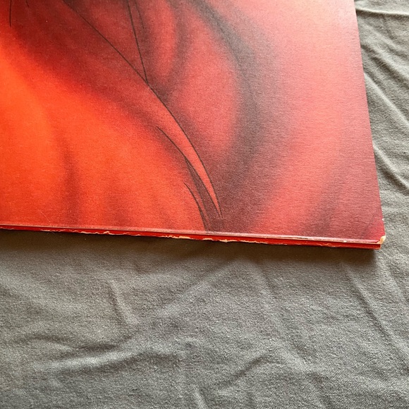 Disney Lion King Lithographs Set - Picture 13 of 14